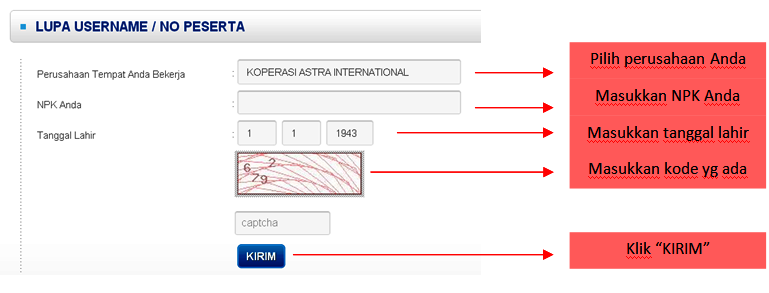 input verifikasi